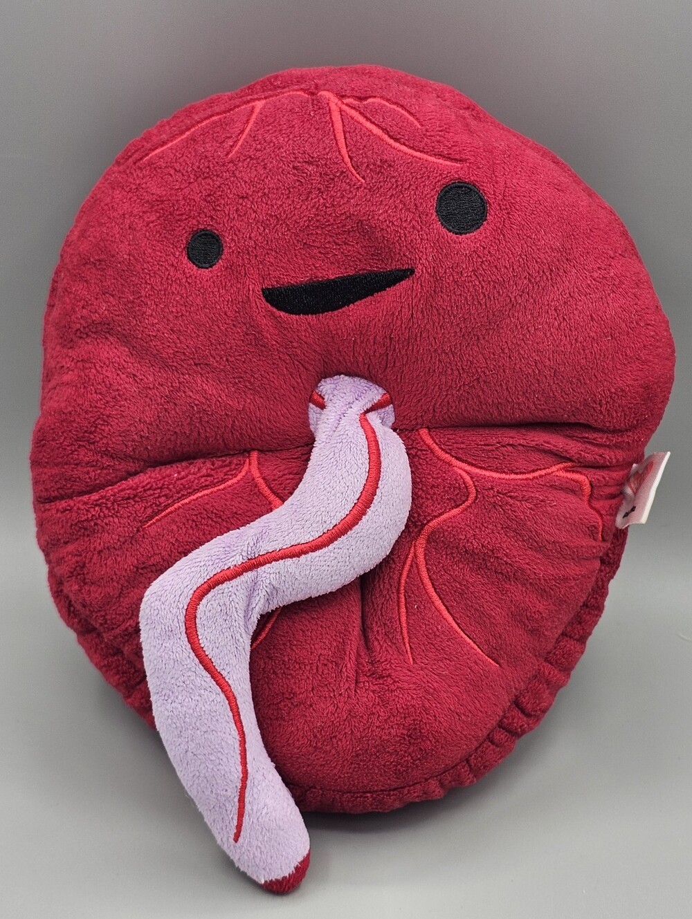 PLACENTA Plush Buddy Office Toy Doctor Womens Health I HEART GUTS Organ Pillow